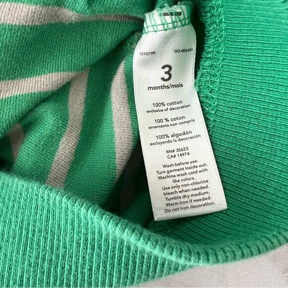 Carter’s Green Gray Stripe Dinosaur Expert Full Zip Hoodie - Picture 5 of 5